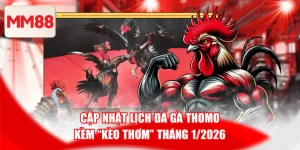 Cập nhật lịch thi đấu đá gà Thomo hạng cân trung (từ 3 đến 4 kg)